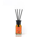 Diffuseur de Parfum à Tiges en Verre 100ml PSA1456